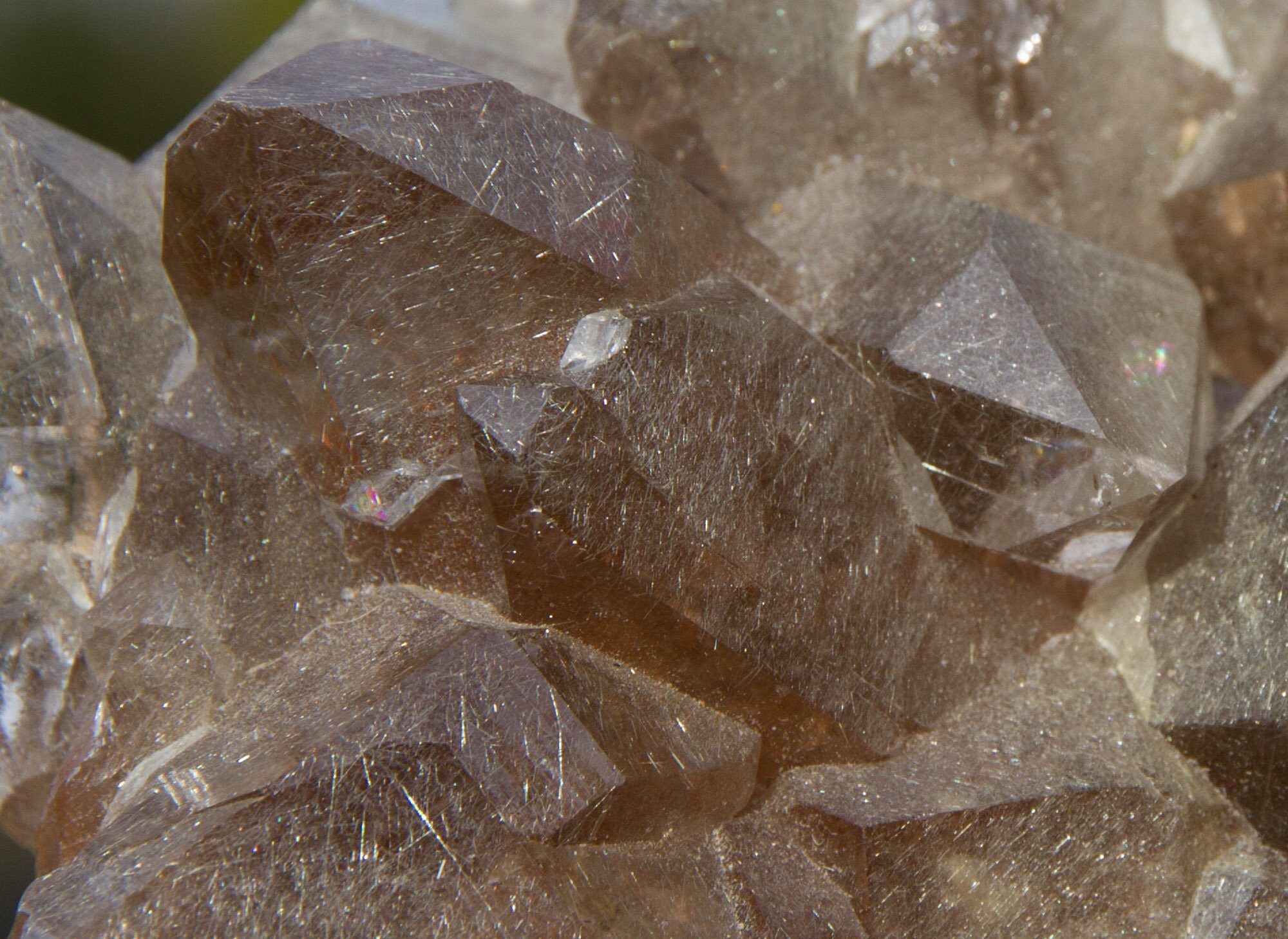 Large Smoky Quartz Crystal Cluster with Rutile - The Fossil Cartel