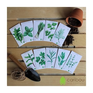 CHEF'S HERB GARDEN Seed Kit 10 Seed Types Arugula, Basil, Chives, Cilantro, Dill, Oregano, Parsley, Rosemary, Sage, Thyme Fresh Seed image 1