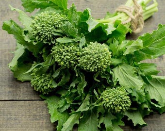 VERDURA / RAPINI 'Raab Broccoli' / Varietà antica / 70-80 semi / Alta resa / Varietà antica