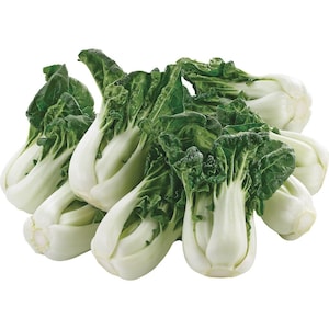 VEGETABLE | TOY CHOY Pak Choi | Chinese/Asian Variety | 40-50 Seeds | Easy to Grow | Fresh Organic Seed