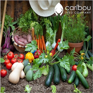 Kit de semillas FARMER&#39;S HARVEST / Kit de semillas Ultimate Gardener&#39;s / 15 paquetes de semillas de vegetales / 10 paquetes de semillas de hierbas / Semillas orgánicas tradicionales