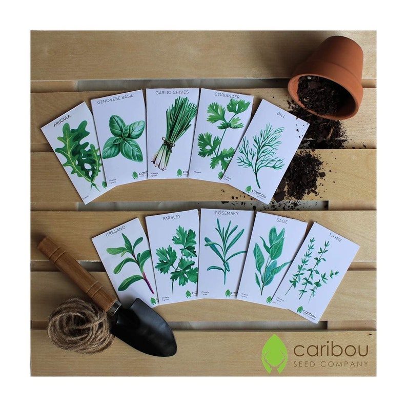 CHEF'S HERB GARDEN Seed Kit 10 Seed Types Arugula, Basil, Chives, Cilantro, Dill, Oregano, Parsley, Rosemary, Sage, Thyme Fresh Seed image 1