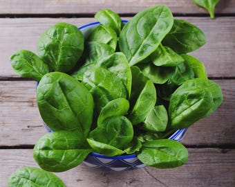 MASSE | Bio Spinat 'Mufflon' | 25 Gramm | Hochwertiges Saatgut und GMO frei