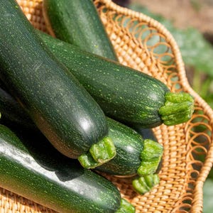 Peut inclure: Gros plan sur plusieurs courgettes vert foncé dans un panier en osier. Les courgettes ont une texture lisse et légèrement tachetée et sont disposées en tas. Le panier est en osier brun clair.