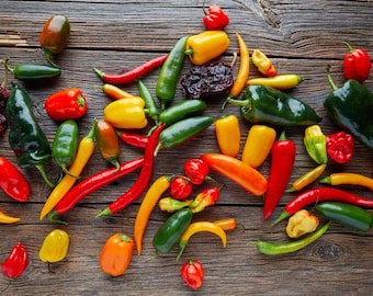 Verdura / Mix di PEPERONCINO MESSICANO / 50-60 semi / 14 varietà / Semi biologici freschi / Semi antichi