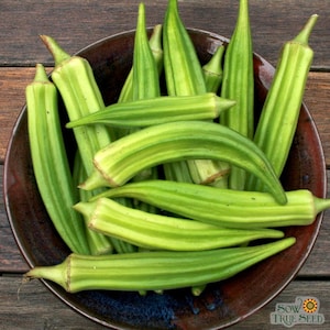 VEGETABLE | OKRA Spineless Clemson | 30 Seeds | Heirloom Variety | Fresh Organic Seed | Tolerates Heat
