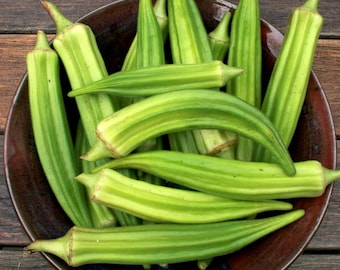VEGETABLE | OKRA Spineless Clemson | 30 Seeds | Heirloom Variety | Fresh Organic Seed | Tolerates Heat