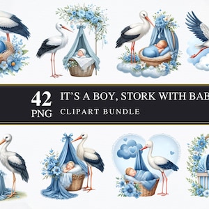 È un maschietto - Bambino e cicogna / Clipart PNG / Commerciale / Stampabile / Creazione di biglietti / Sublimazione / Decoupage / Rivelazione del sesso / Grafica