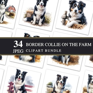Bordercollie op een boerderij | Clipart-jpeg | Aquarel | Afdrukbaar papier | 300 dpi | Illustratie | Commercieel | Kaarten maken | Decoupage