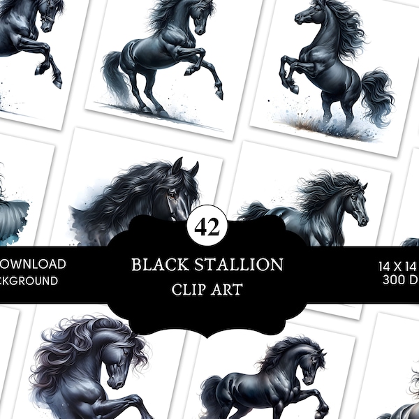 42 Black Stallion Clip art | high quality JPEG | printable | paper craft | art projects | card making