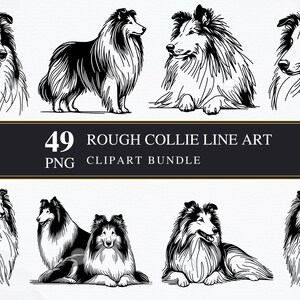 Arte lineal de Rough Collie / PNG / Comercial / Imprimible / Fabricación de tarjetas / Sublimación / Decoupage / Digital / Clipart / Gráficos