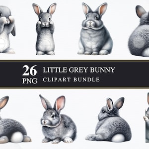 Kleiner grauer Hase | Clipart PNG | Gewerblich | Druckbare Grafiken | Kartengestaltung | Sublimationsdruck | Serviettentechnik | PNG | Digital | Kaninchen
