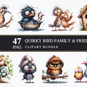 Quirky Bird | Clipart PNGS | Commercial | Printable Graphics | Card Making | Sublimation | Decoupage | Funny Birds PNG | Digital