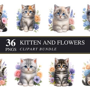 Chaton et fleurs PNG | 36 graphiques de chat | Fond transparent | Sublimation | Fabrication de cartes | Artisanat | Imprimable | Utilisation commerciale