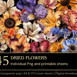 Getrocknete Blumen Clipart PNG Bundle | Fussy Schnitt druckbare Blumen | Junk Journal Ephemera | A4 & US Letter Blätter | Kommerzielle Nutzung