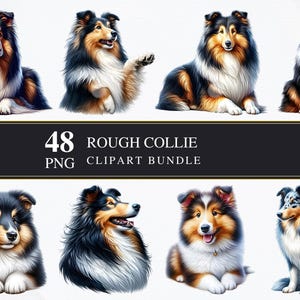 Rough Collie / Clipart PNG / Commerciale / Stampabile / Creazione di biglietti / Sublimazione / Decoupage / Grafica / PNG trasparente / Digitale / Cani