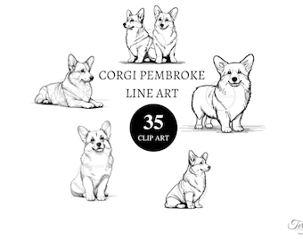 35 Corgi Pembroke line art | clipart | transparent png | High resolution | card making | junk journal | scrapbooking | decoupage