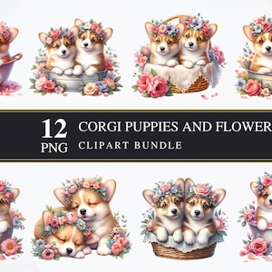 Corgi-puppy's en bloemen | Clipart-png's | Commercieel | Afdrukbare afbeeldingen | Kaarten maken | Sublimatie | Knippen | Digitaal | Puppy-png