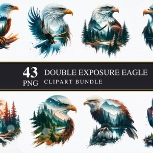 Adelaar met dubbele belichting | Clipart-png's | Commercieel | Afdrukbare afbeeldingen | Kaarten maken | Sublimatie | Knippen | Digitaal | Adelaars | png