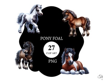 27 Pony foal Clipart | transparent png | Commercial license | printable | card making | horse pngs |  graphics | digital
