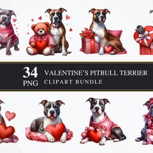 Valentinstag Pitbull Terrier | Clipart PNG | Gewerblich | Druckbare Grafiken | Kartengestaltung | Sublimationsdruck | Serviettentechnik | Digital | PNG-Bundle