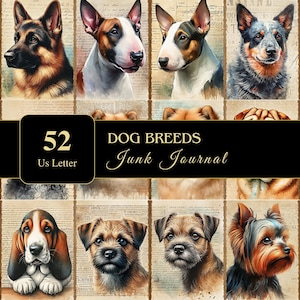 52 Dog Breeds Junk Journal Pages | Carta dos EUA | Papel para impressão | 300 dpi | Scrapbooking | Gráficos | Suprimentos | Scrapbooking | Digital | Cães