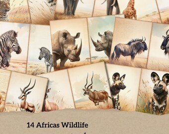 14 Wild animals in Africa | A4 printable paper | Junk journal | scrapbooking | decoupage | card making