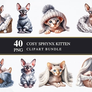 Gatinho Sphynx aconchegante | Clipart PNGS | Comercial | Gráficos imprimíveis | Criação de cartões | Sublimação | Decoupage | Digital | Gato | PNG