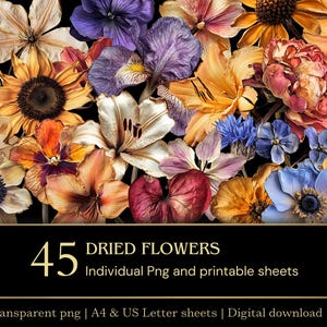 Getrocknete Blumen Clipart PNG Bundle | Fussy Schnitt druckbare Blumen | Junk Journal Ephemera | A4 & US Letter Blätter | Kommerzielle Nutzung