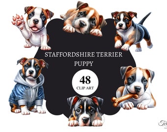 48 Staffordshire Terrier Puppy Clip art | Transparent background | 300dpi | commercial license | png graphics