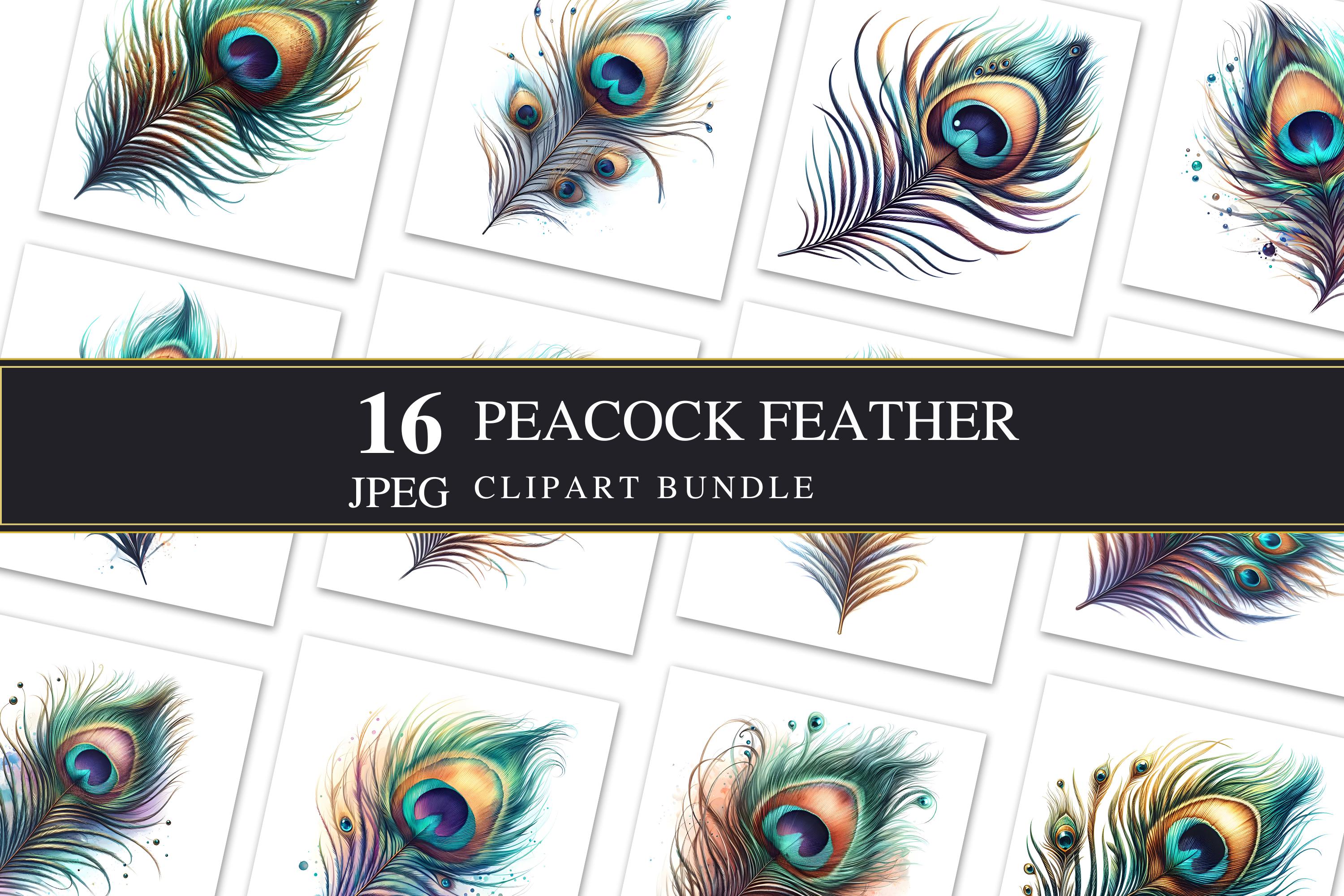 画材 Peacockesque peacock | 3D Warehouse