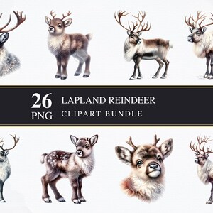 Lapland Reindeer | Clipart PNGS | Commercial | Printable Graphics | Card Making | Sublimation | Decoupage | PNG | Digital | Winter