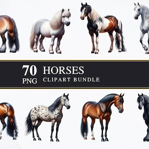 Pferde | Clipart | Transparent | Gewerblich | Druckbar | Kartengestaltung | Sublimationsdruck | Serviettentechnik | Digital | PNG-Bundle | Pferdegrafiken