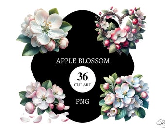 36 Apple Blossom Clipart | transparent png | Commercial license | printable | card making | blossoms pngs | digital art