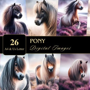 Pony / Carta de EE. UU. y A4 / Imprimible / Caballo / Digital / Decoupage / Scrapbooking / Fabricación de tarjetas / Arte mural / Junk Journal