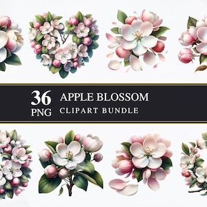 Fleur de pommier | Clipart PNG | Commerciale | Graphiques imprimables | Fabrication de cartes | Sublimation | Découpage | Numérique | PNG | Printemps