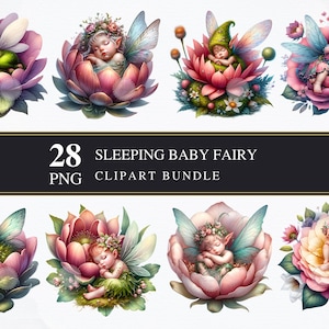 Slapende fee baby | Clipart-png's | Commercieel | Afdrukbare afbeeldingen | Kaarten maken | Sublimatie | Knippen | Digitaal | Feeën | png