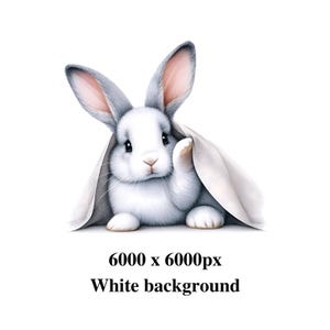 Peek A Boo Bunny | Printable | Poster | Wall Art | Nursery | Kids Room ...