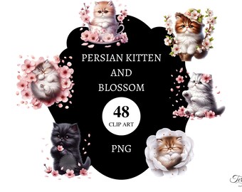 48 Persian Kitten And Blossom Clipart | Transparent PNG | Commercial License | Printable | Card Making | Cat Pngs |