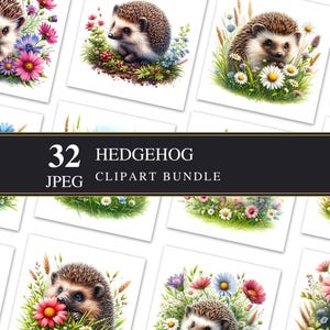 Clipart hérisson JPEG | Imprimable | Créations en papier | Fabrication de cartes | Journal indésirable | Découpage | Nature | Graphiques | Illustration numérique