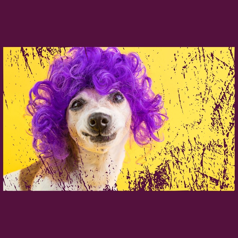May include: A white dog wearing a purple curly wig against a yellow background with a distressed texture.