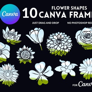May include: Ten Canva frames featuring different flower shapes, including a sunflower, rose, clover, and more. The frames are outlined in black and filled with a light blue color. The text "FLOWER SHAPES" and "10 CANVA FRAMES" is displayed at the top of the image. The text "JUST DRAG AND DROP" and "NO PHOTOSHOP REQUIRED" is displayed below the frames. The text "FOR Canva ONLY" is displayed at the bottom of the image.