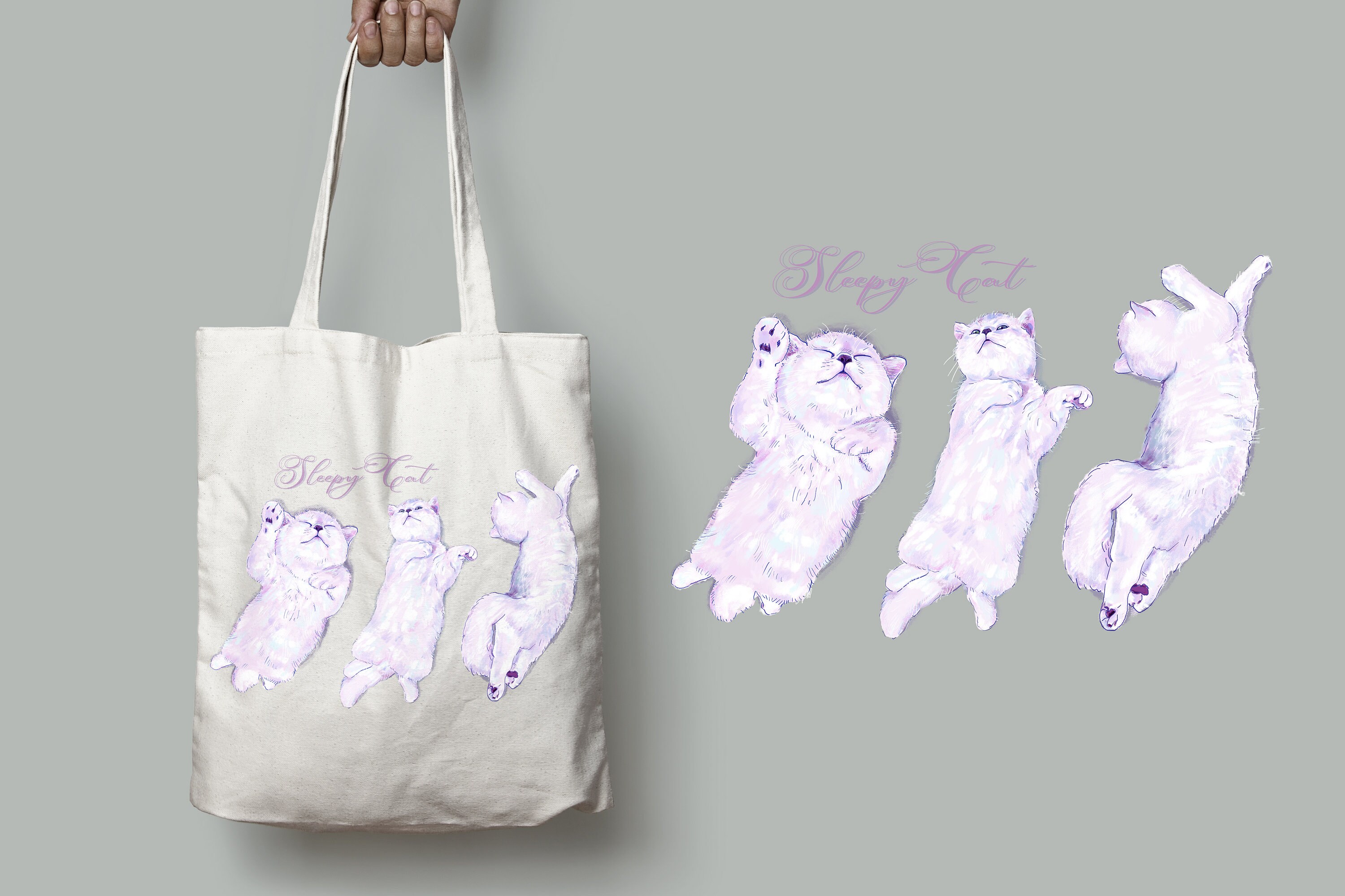 Adorable gato británico de pelo corto acostado en tres poses | Etsy