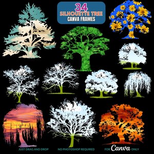 May include: 34 silhouette tree Canva frames.  The frames are in various styles and colors, including green, blue, white, and orange.  The frames are perfect for adding a touch of nature to your designs.