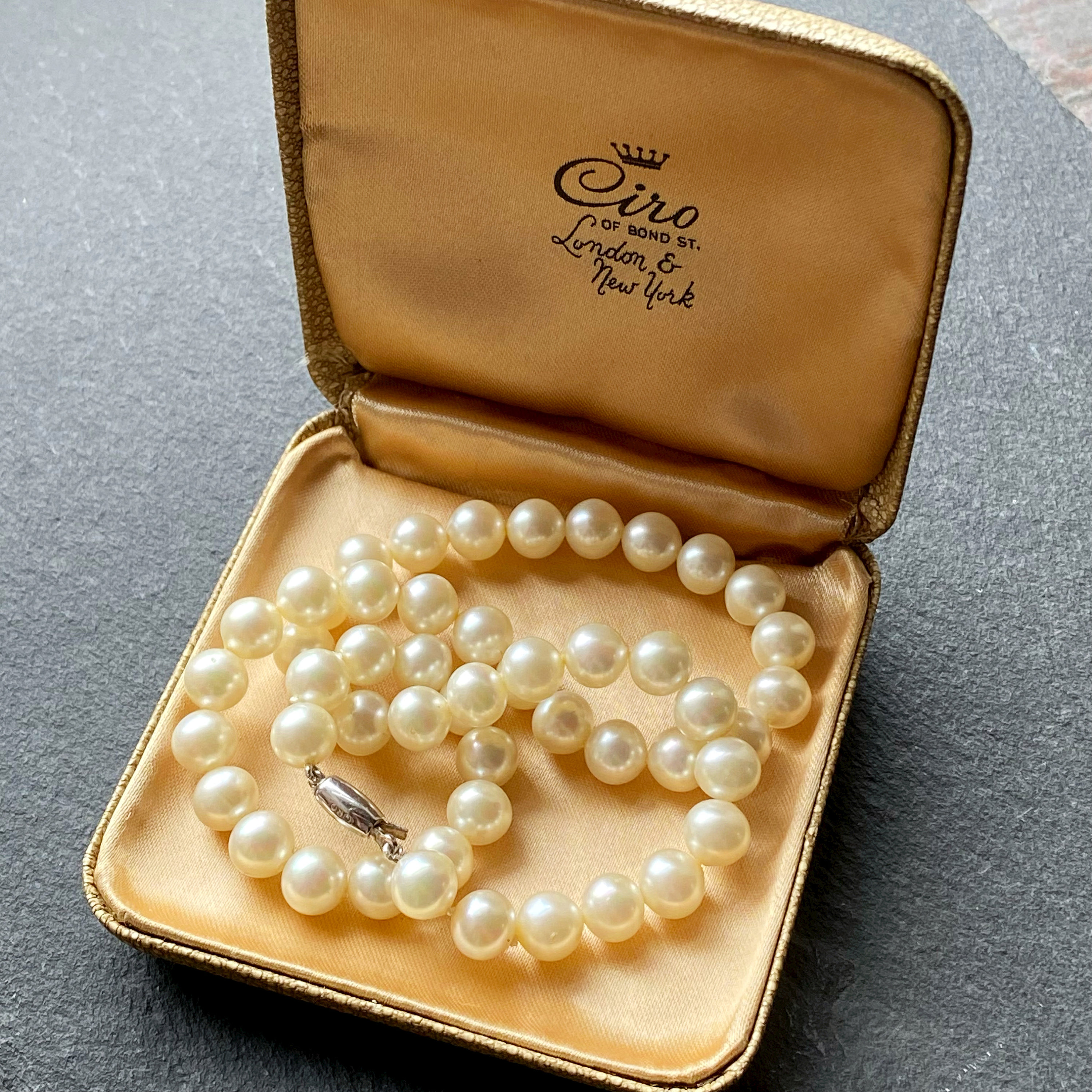 CIRO Classic Glass Pearl Necklace With Silver Clasp in Box CIRO Classic Glass Pearl Necklace With Silver Clasp in Box