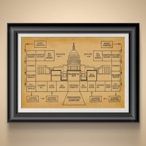 Political Science Bill Law Creation Poster Social Studies Wall Art History Teacher Class Artwork Poli Science Gift 4 Political Major
