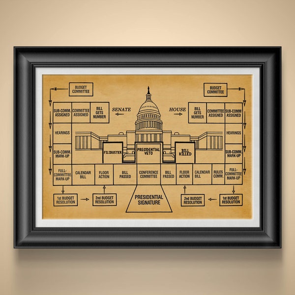 Political Science Bill Law Creation Poster Social Studies Wall Art History Teacher Class Artwork Poli Science Gift 4 Political Major