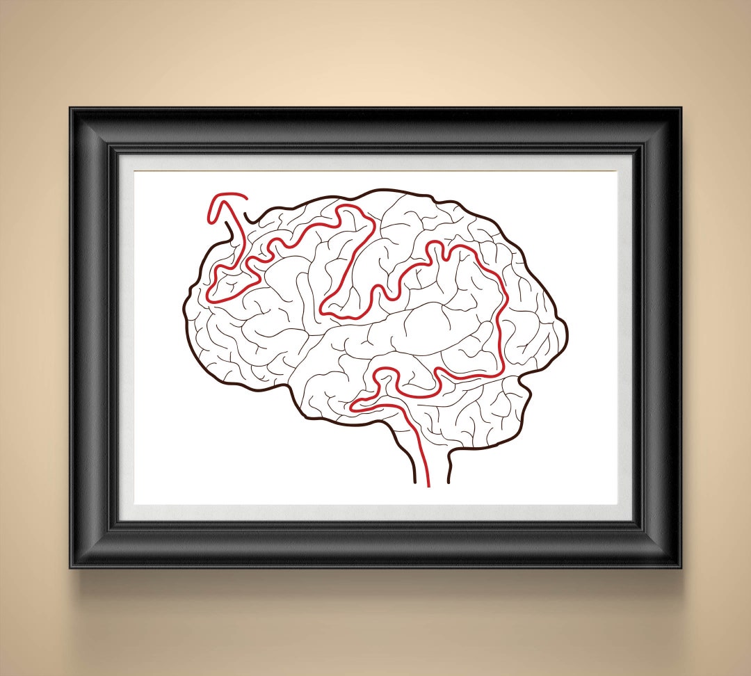 Brain Print Ribbon Anatomical Brain Print: Gift for Therapists, Psychologists, Students - Etsy