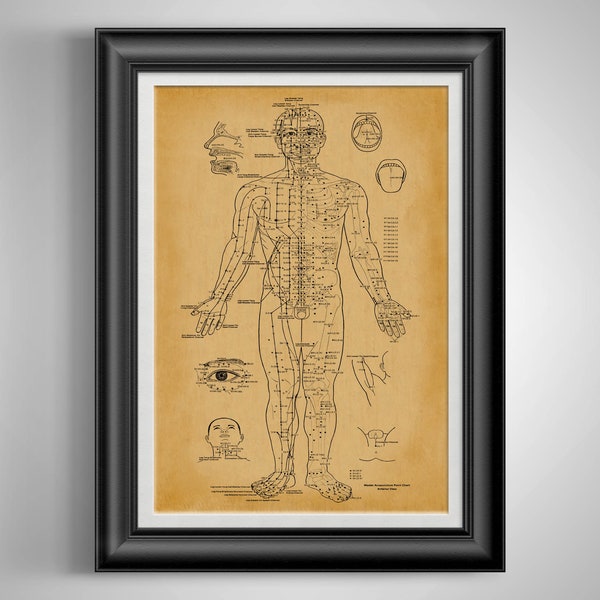 Master Acupuncture Point Chart Anatomy Chart Anatomy Poster Acupuncturist Gift Eastern Medicine Print Chinese Medicine Anatomy Artwork