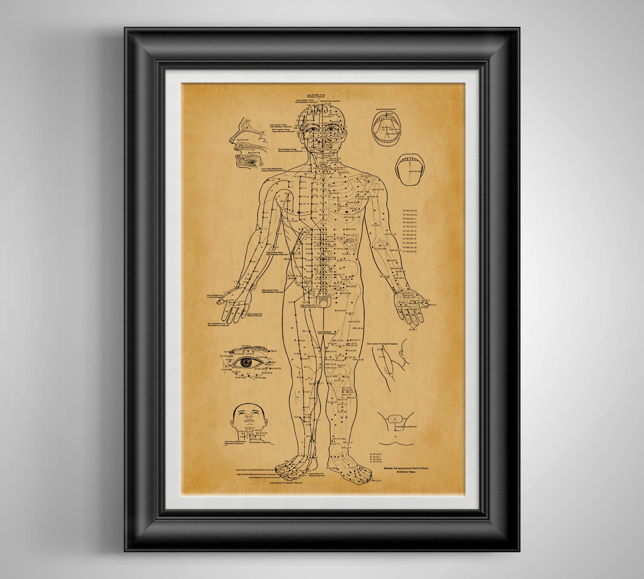Anatomy Stuff Tableau des points d'acupuncture - 45 x 60 cm